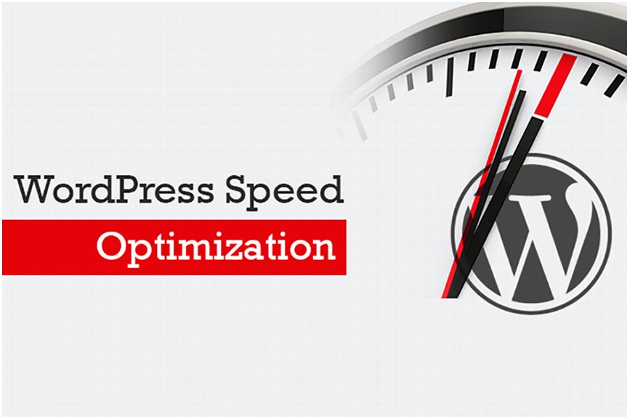 WordPress Speed Optimization: Static vs Caching Plugins